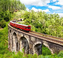 فاکس یا ماهاولی ریچ یا آمایا هیلز کندی